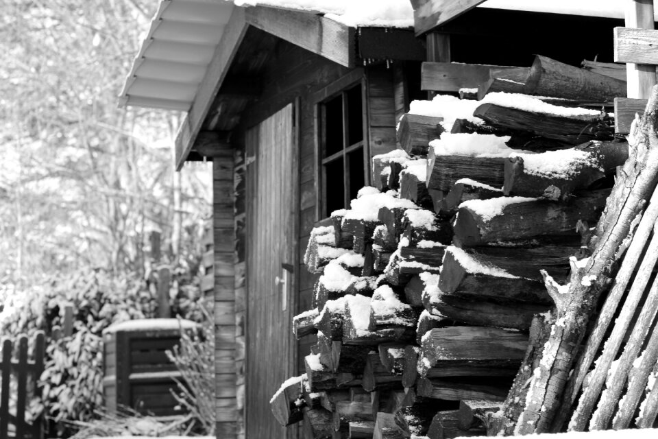 Wood black and white cold