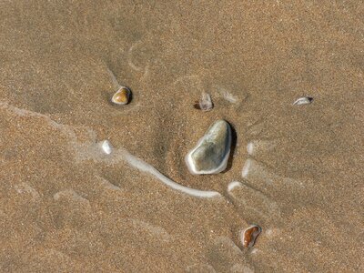 Sea sandy beach summer