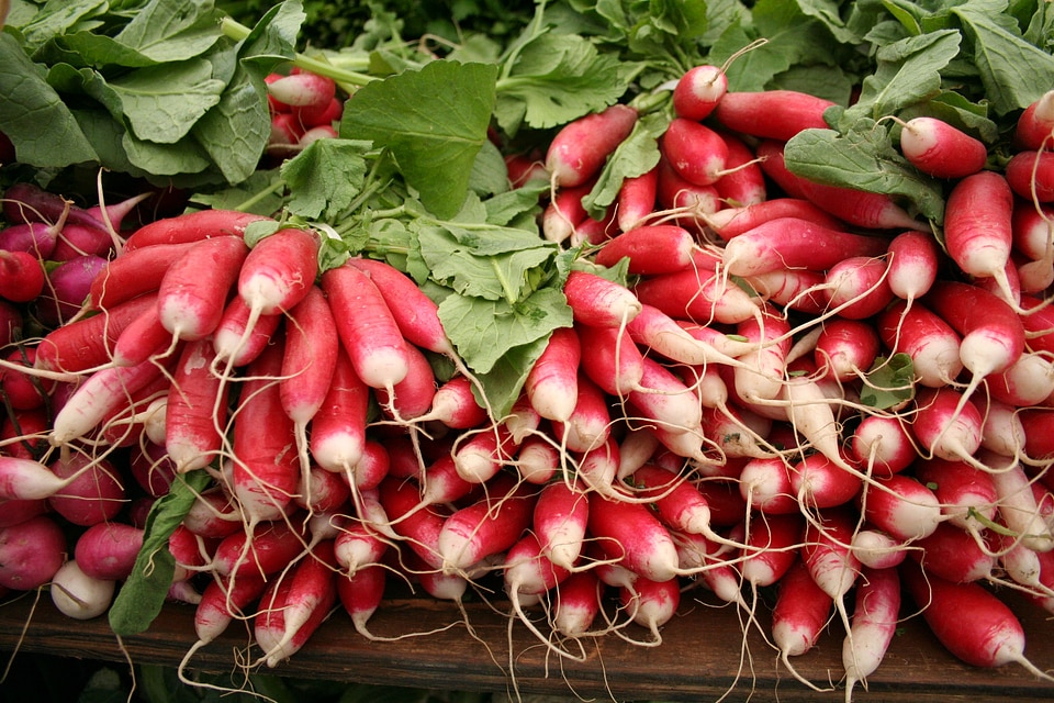 Farmers market farmer farmers