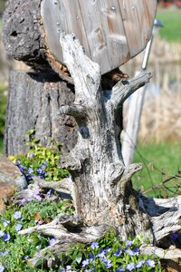 Object nature wood