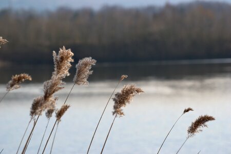 Romantic landscape idyll