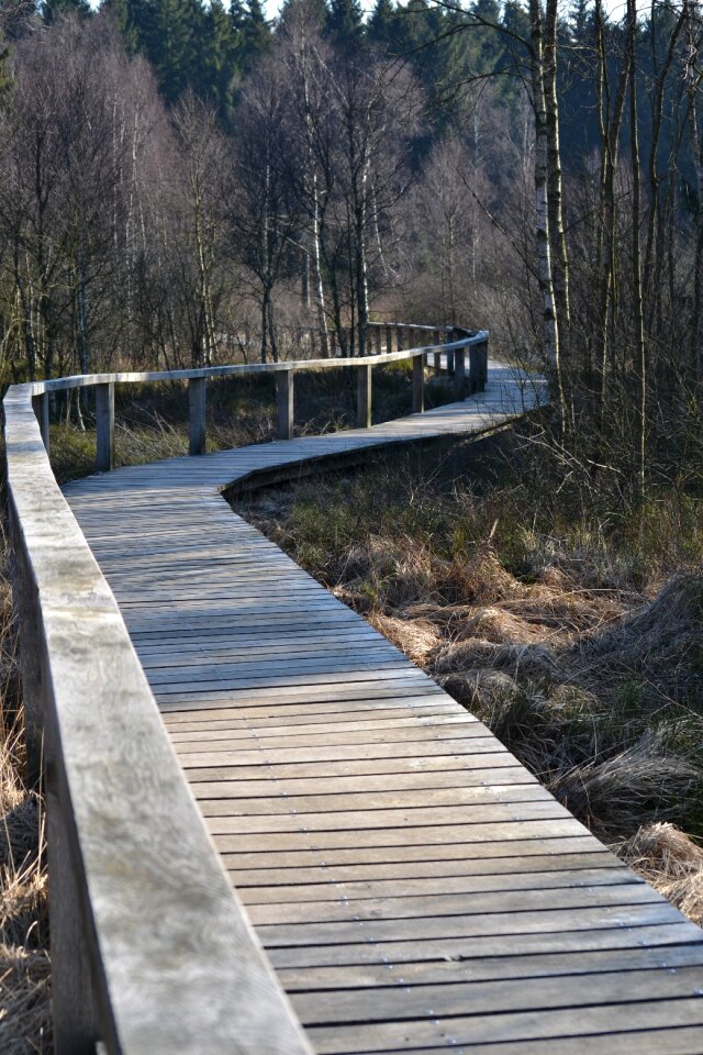 Endless railing landscape
