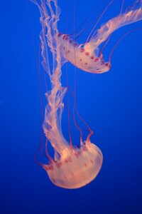 Marine life spotted