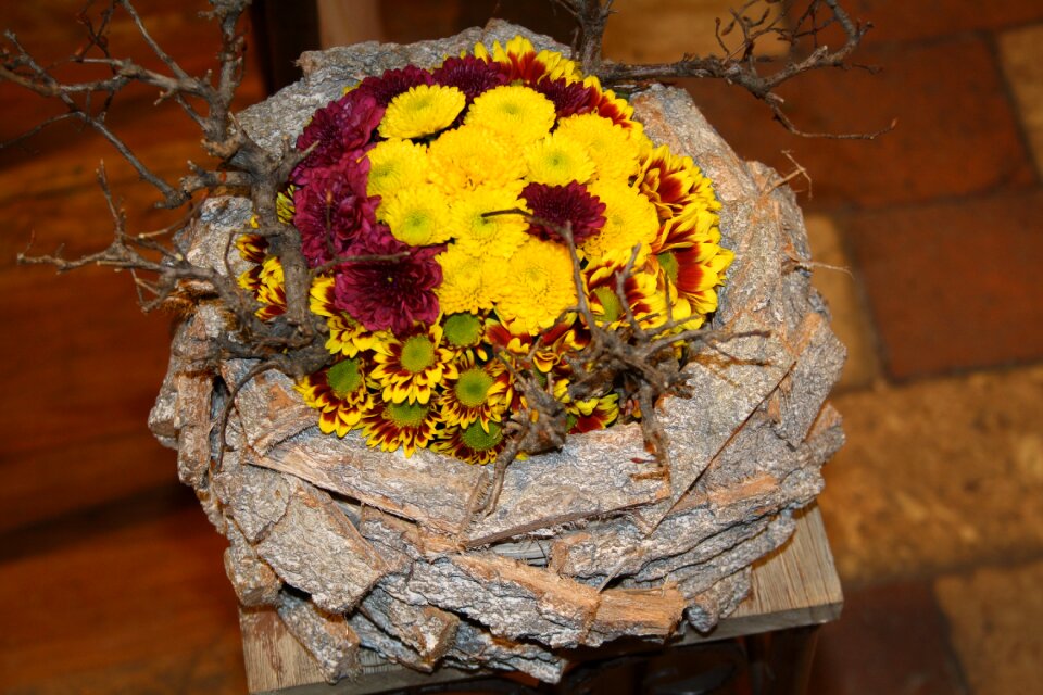 Blossom bloom floral arrangement