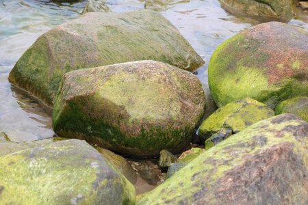 Beach sea water photo