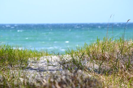 Beach sea baltic sea photo