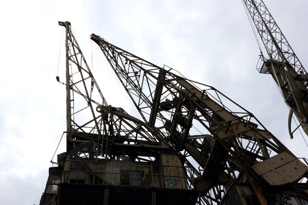 Cranes schelde lifting photo