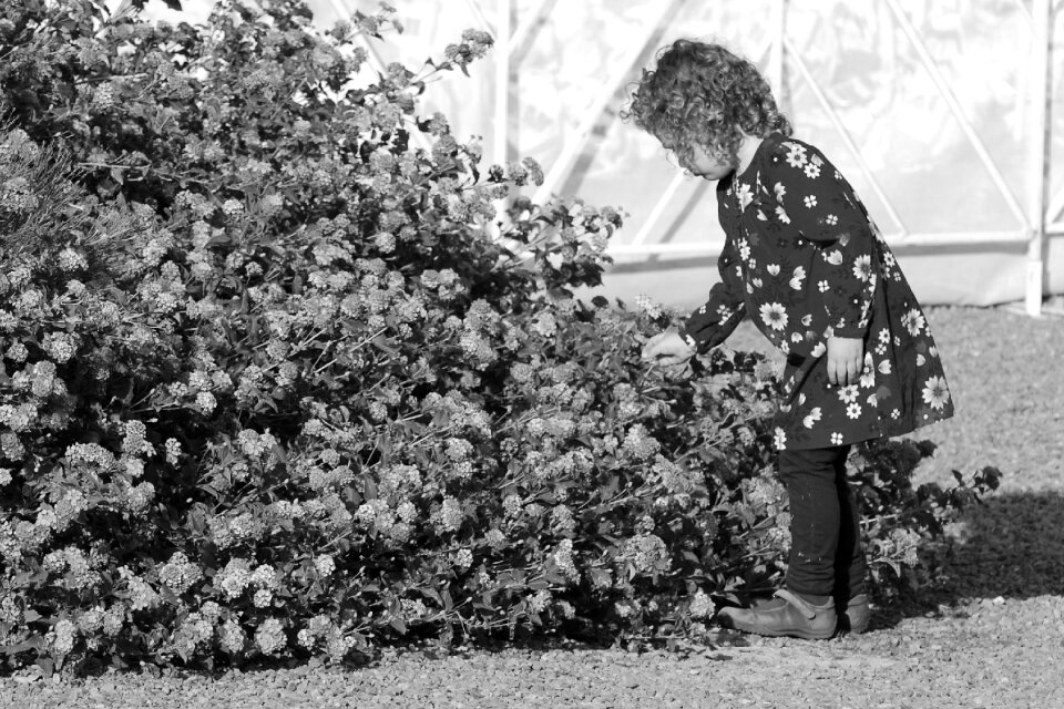 Girl kid childhood