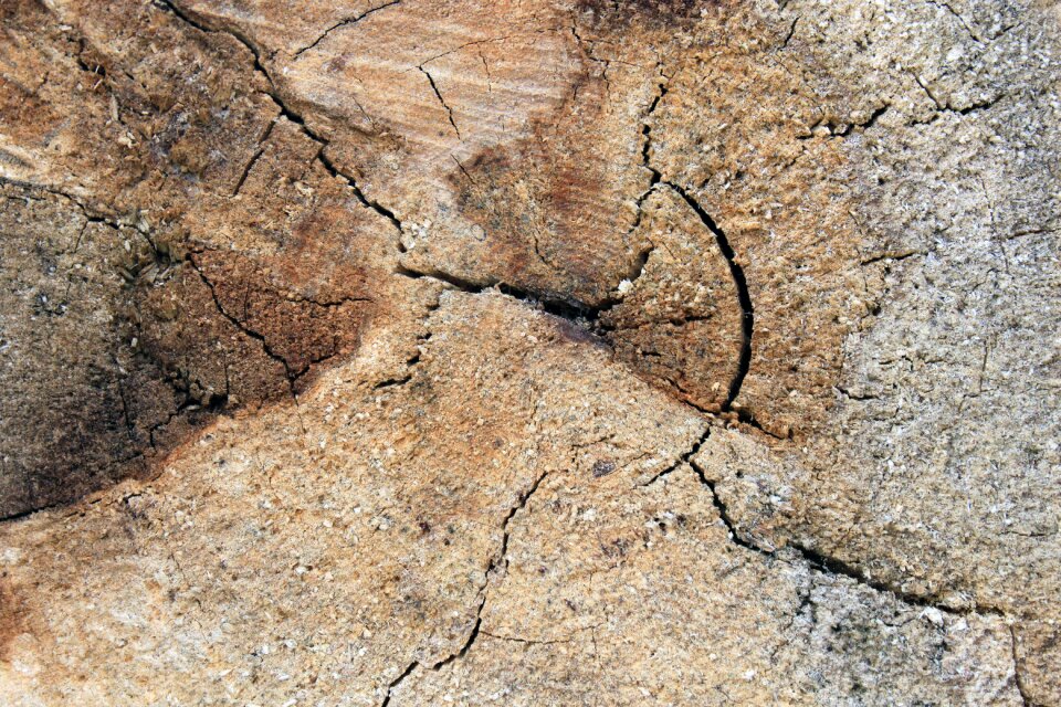 Weathered cracked wood texture