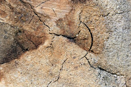 Weathered cracked wood texture photo