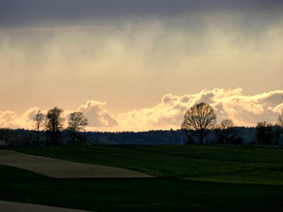 The sun afternoon spring
