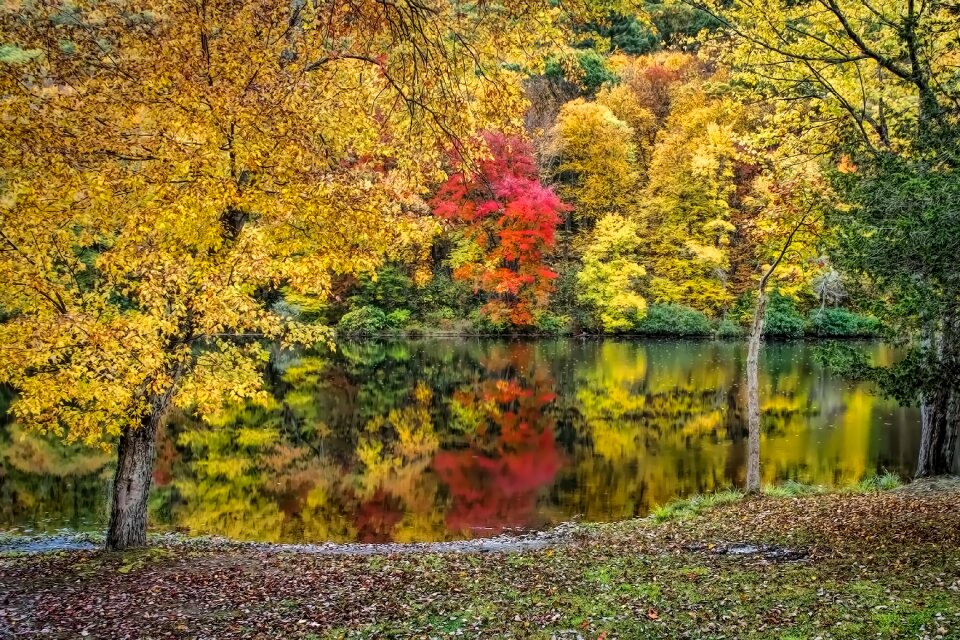 Tranquil lake landscape