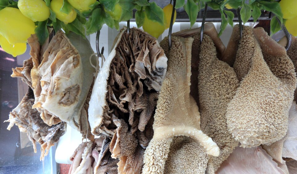 Vendor intestines