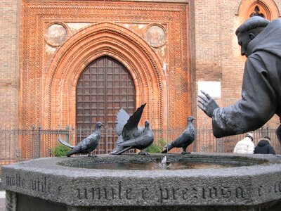 Saint francis dove fontana