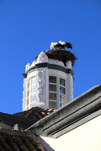 Tower nest storks photo