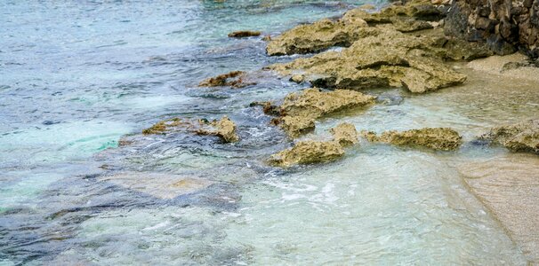 Caribbean rocks snorkeling