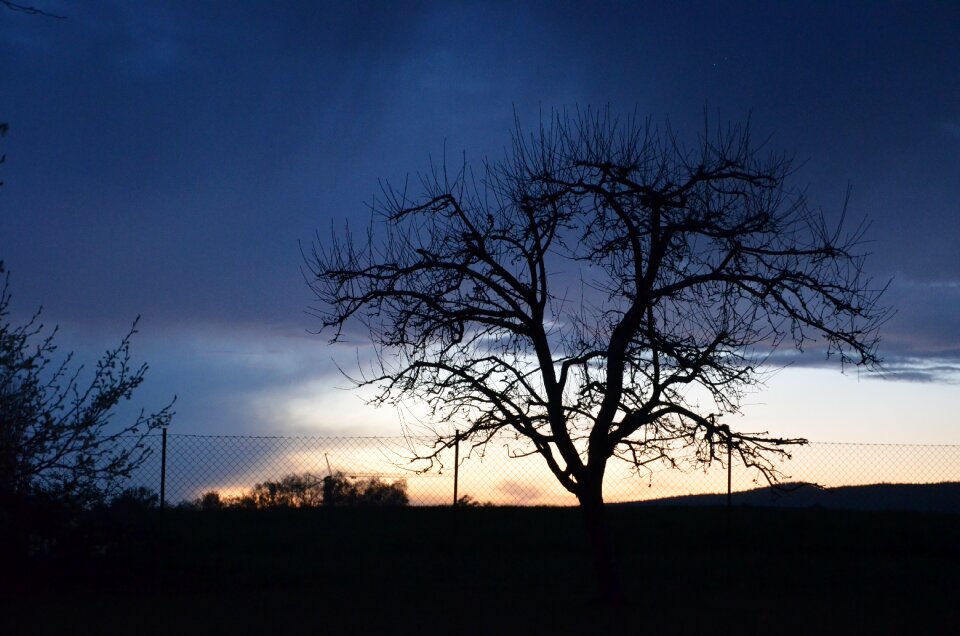 Night landscape nature