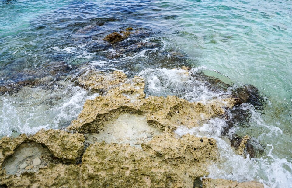 Caribbean rocks snorkeling
