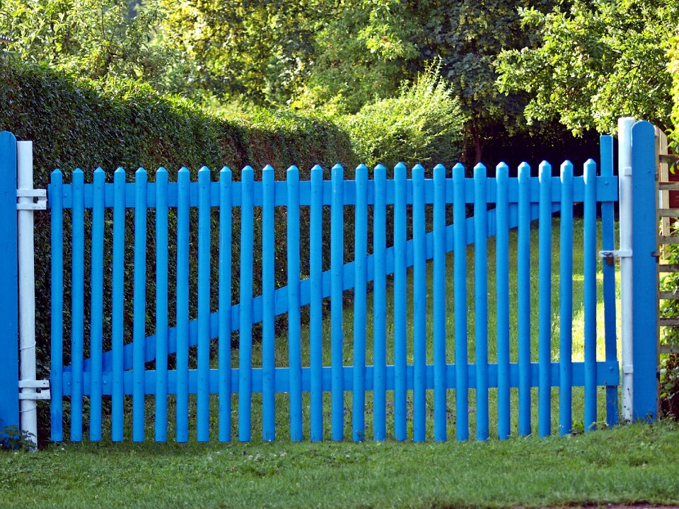 Garden gate flowers hedge