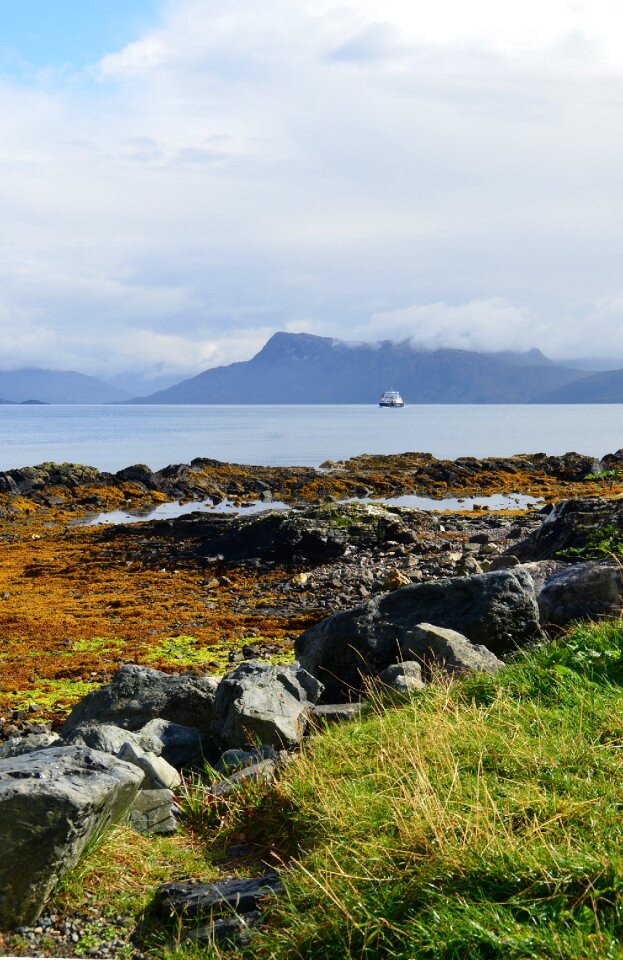 Scotland sea heather photo