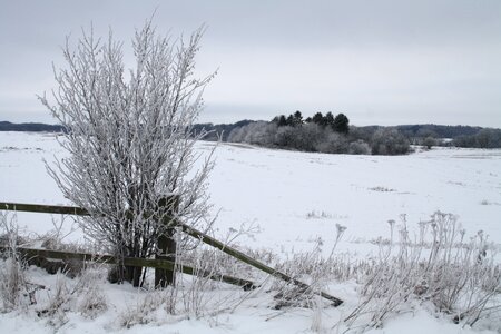 Frost landscape weather photo