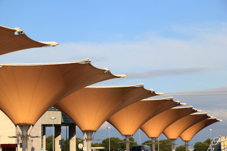 Area sunshades umbrellas