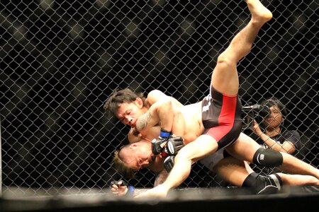 Maza shooto martial arts