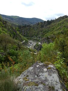 River field nature photo