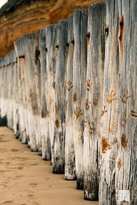 Wood anglesea victoria