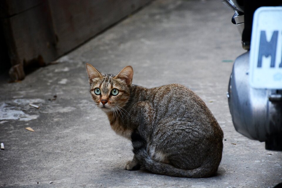 Alley gray losing his home