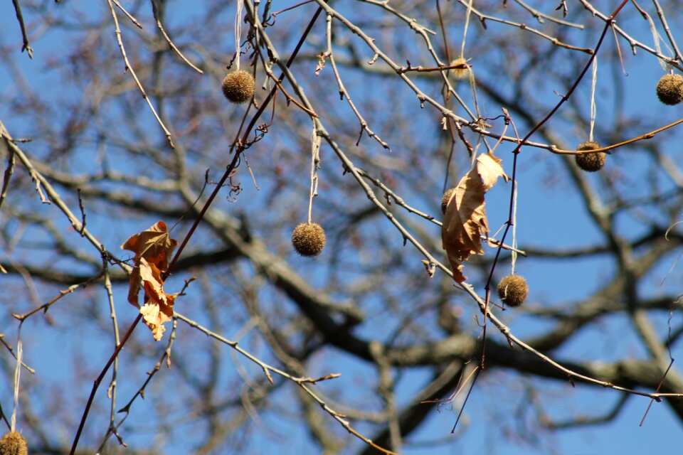 Winter day