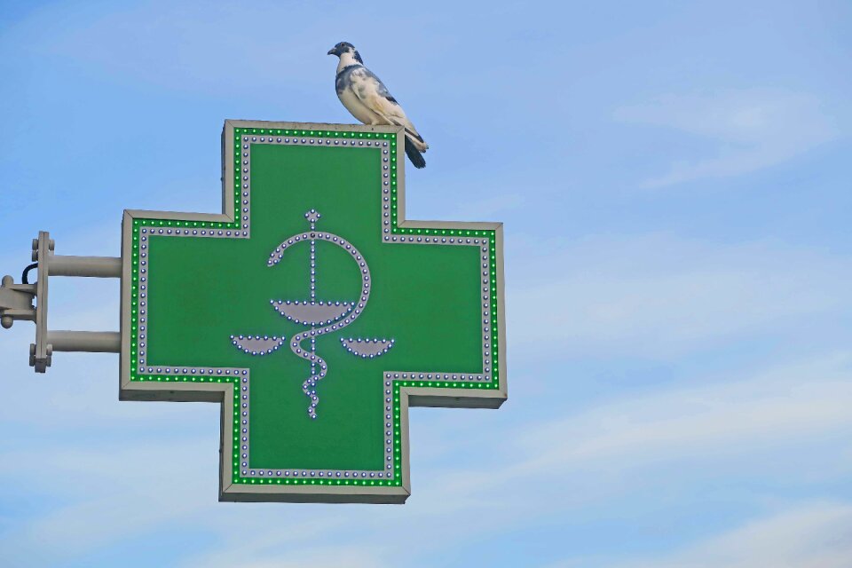 Cross advertisement bird