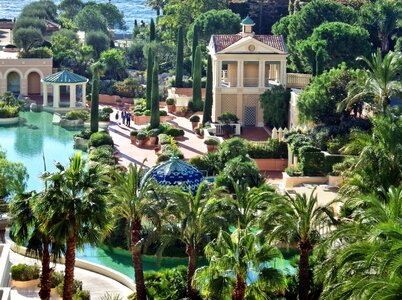Luxury pool palm