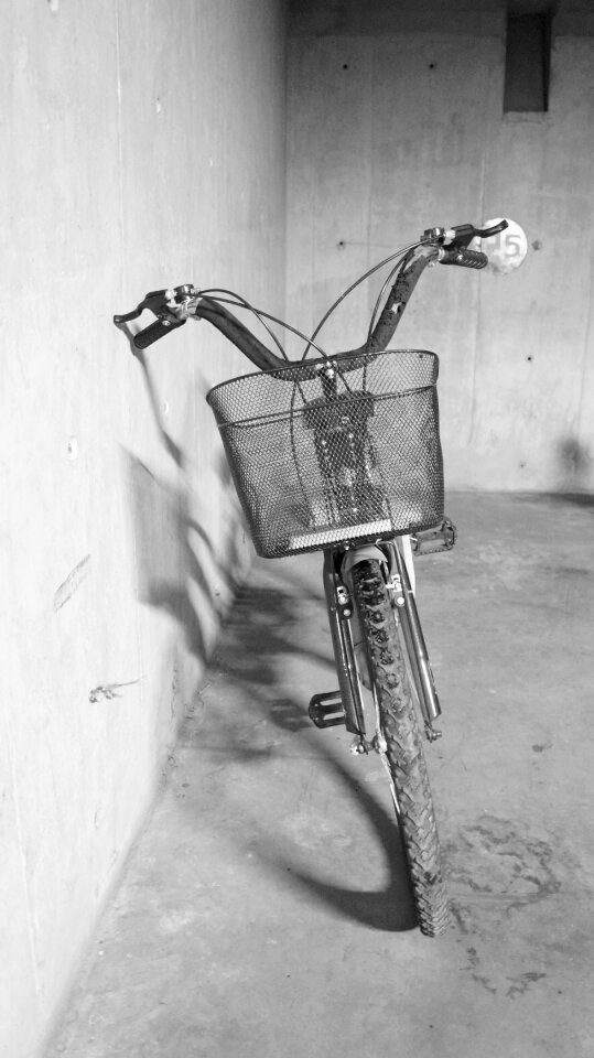 Bicycle traveller transport