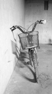 Bicycle traveller transport photo