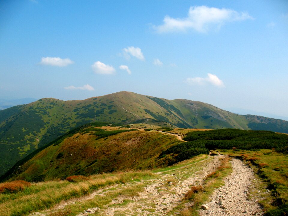 The path view tops