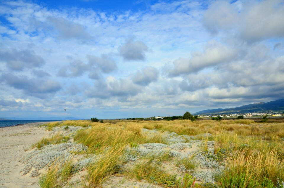 Summer wind nature