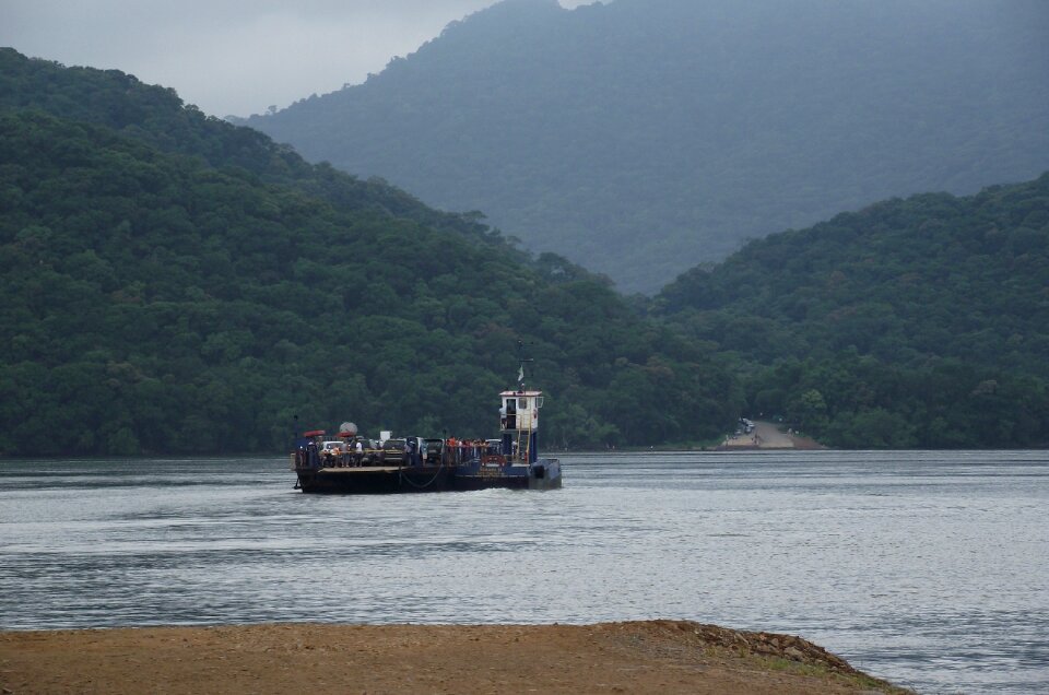 Forest vegetation vessel