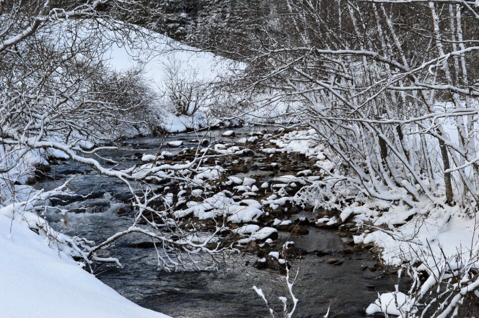 Snow wintry nature