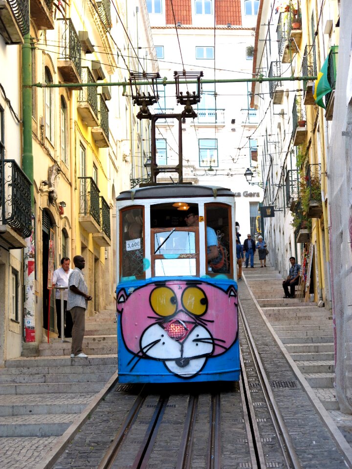 Transport lisboa pink panther