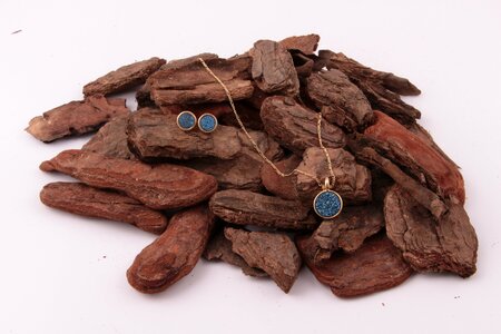 Blue gem earring paste photo