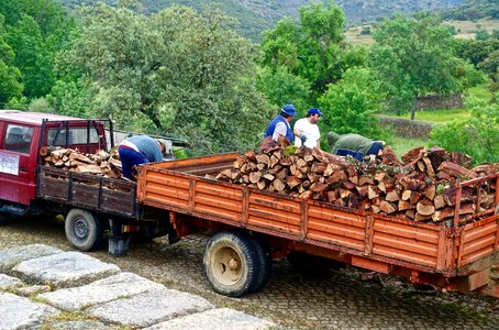 Timber pile truck