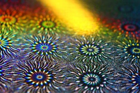Photo paper paper hologram