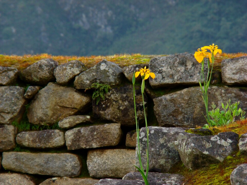 Inka architecture wall