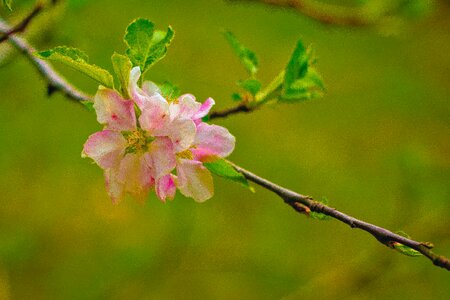 Spring color colorful