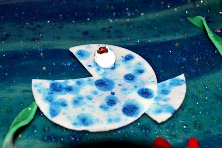 Edible paper underwater food color