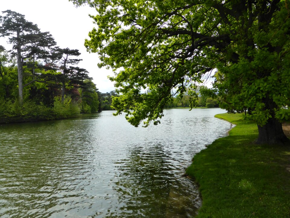 Lake gorge landscape
