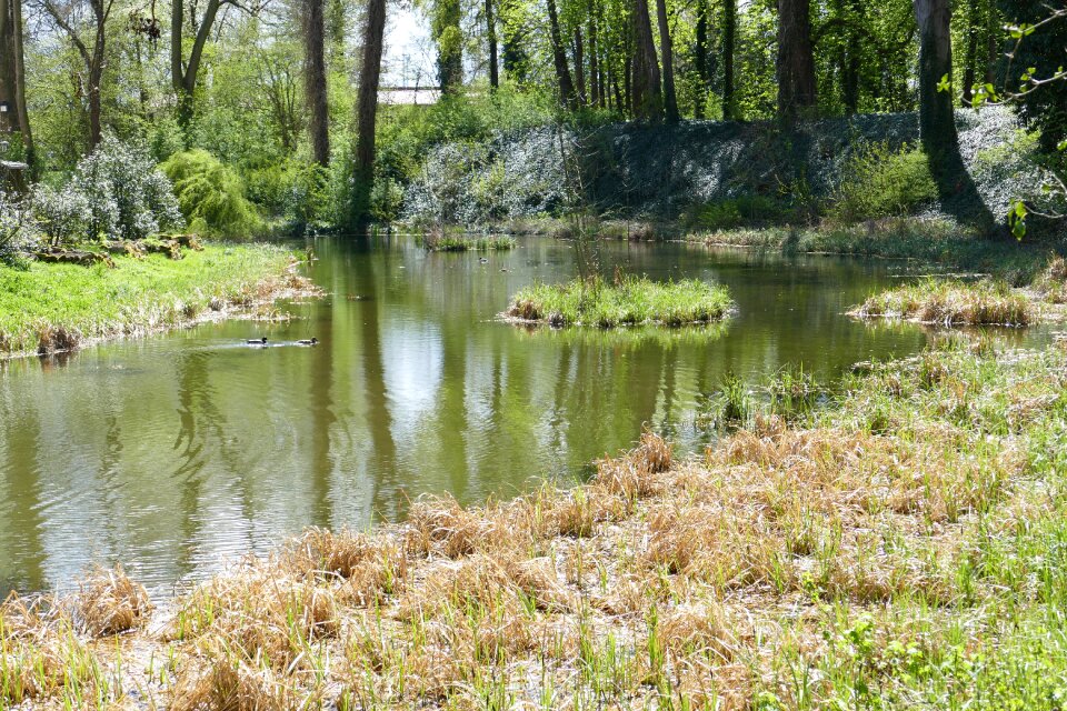 Moated castle historically ancient
