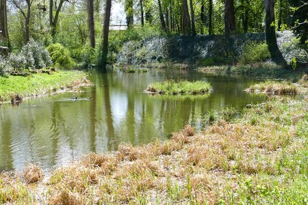 Moated castle historically ancient