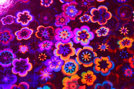 Paper hologram floral